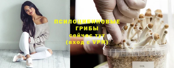 круглые Гвардейск