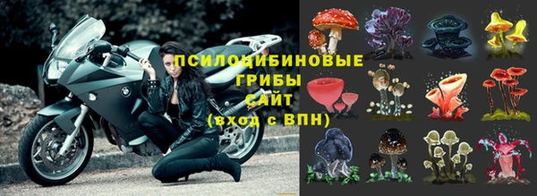 кокс Арсеньев